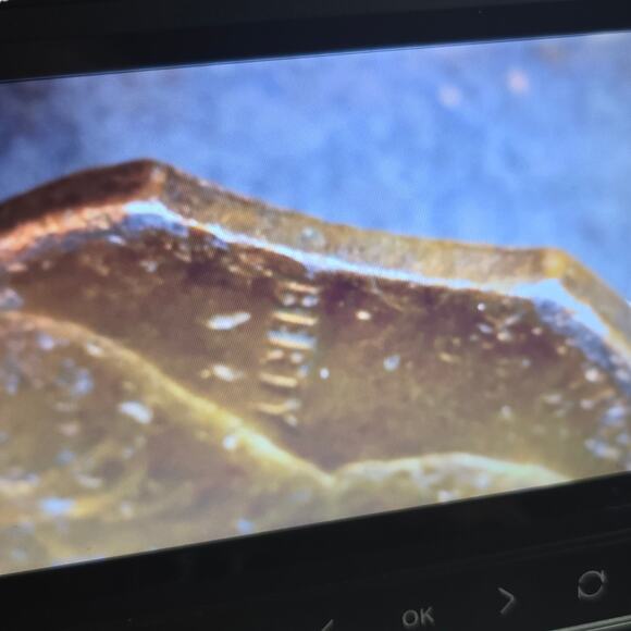 1985d Clipped Planchet Lincoln Memorial Cent Penny Error Variety Coin READ - Picture 4 of 10